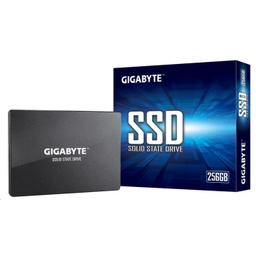 GIGABYTE SSD 256GB (GP-GSTFS31256GTND)