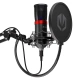 Mikrofon ENDORFY Streaming (EY1B004) černý