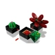 LEGO Icons 10309 Sukulenty