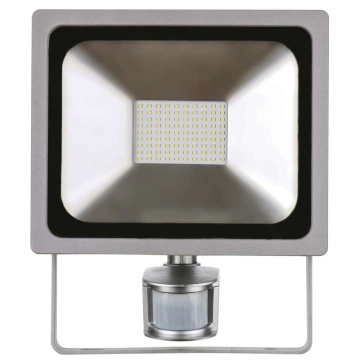 LED Reflektor 50 W - PIR PROFI