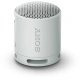 Sony SRS-XB100, grey