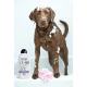 Wahl 3999-7010 dog shampoo 4in1 750 ml