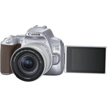 Canon EOS 250D + 18-55mm IS STM, silver